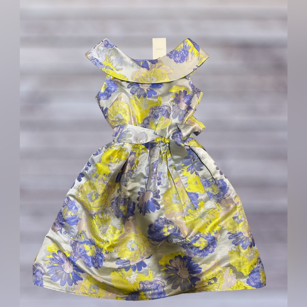 Alex Marie floral fit and flare dress